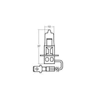 �n���Q���d���@�Q�S�u�T�T�v�@�g�R�@�P�S�|