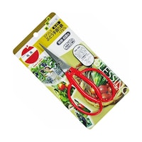 �X�e�����X�@�Ԃǂ���Ȃ����@�j�|�Q�P