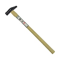 �����Ɓ@�P�T����