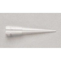 �e���������������������@�r�������n�����@