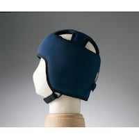 �ی�X�m�������������K�[�h�a�i�X�^���_�[