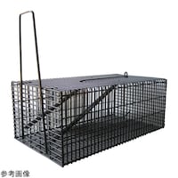 �R���p���@�l�Y�~�߂��@�p�^�n�E�X�k