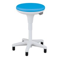 �T�X�e�B�i�u���Z���N�g�`�F�A�@�m�u�g�|�a