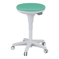 �T�X�e�B�i�u���Z���N�g�`�F�A�@�m�u�g�b�|