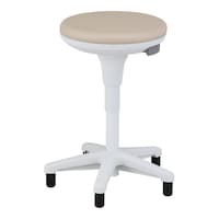 �T�X�e�B�i�u���Z���N�g�`�F�A�@�m�u�g�|�a