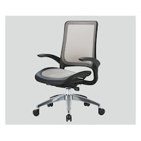 �G�O�[�N�e�B�u�E���b�V���`�F�A�@���b�V���@�O���[