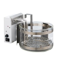 �I�C���o�X�i�K���X���E�����p�j�@�P�k�@�f