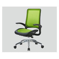 �G�O�[�N�e�B�u�E���b�V���`�F�A�@���b�V���@�O���[��