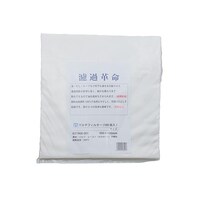 �l�s�}���`�t�B���^�[�@�P�܁i�P�O�O�����j