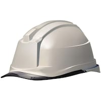 �o�b���w�����b�g�i�v���������������E�N��