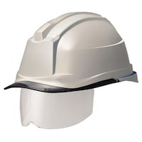 �o�b���w�����b�g�i�v���������������E�N��