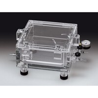 �P�U�T�R�Q�@�f�V�P�[�^�[�@�t�a�|�c�^