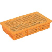 �G�r�U�i�{�́E�t�^�t�j�I�����W