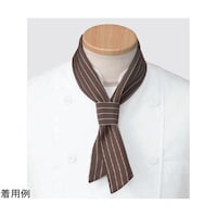 �`�o�j�S�X�W�|�r�R�R�@�t���[�@�X�J�[�t