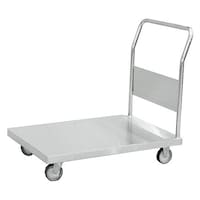 �X�e�����X��ԁ@�r�e�c�@�i�C�����E���^��