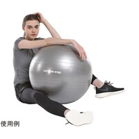 �t�B�b�g�l�X�{�[���@�ӂT�T�@�V���o�[�z��