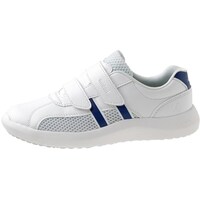 ���f�B�J���G���p�X�@�b�r�r�|�V�O�U�r���@�Ód�@�l�C�r�[�@�Q�P�D�T����