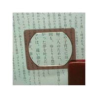 �R�P�S�O�@�v���|�P�b�g���[�y