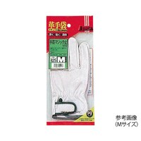 �i�v�|�W�Q�T�@���}�W�b�N�~�@�k