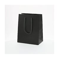 ��񂰎��܁@�J���[�`���[���o�b�O�@�Q�O�|�P�Q�@���@�P�O��