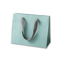 ��񂰎��܁@�J���[�n���h���o�b�O�@�k�v�@