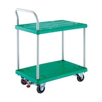 �s�o�W�O�S�i�j�q�r�S�O�����J�[�g�Б��Q�i