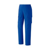 �ʔN��ƕ��@�ѓd�h�~�i�h�r�K���i�@�x���f