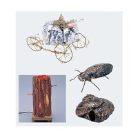 �R�T�O�O�P�@���@�O�D�P����