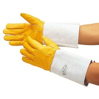 ���S�O�W�@�n�ڗp�R���r�T�w