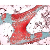 �P�D�O�P�V�Q�W�D�P�O�O�O�@�I�X�e�I�\�t�g