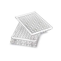 �l�o�b�S�m�s�q�P�O�@�l�t�k�s�h�r�b�q�d�d