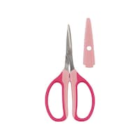 �R�R�O�g�m�|�o�@���p�r�N���t�g�`���L