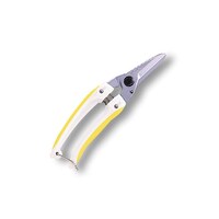 �P�S�O�c�w�|�x�@���������@�t�@�~���[�@��