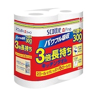 �X�R�b�e�B�@�t�@�C���@�R�{�������L�b�`��