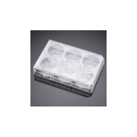 �R�T�R�X�R�S�U�X�^�b�N�v���[�g����t�^�t