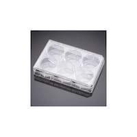 �Z���J���`���[�C���T�[�g�R���p�j�I���v��