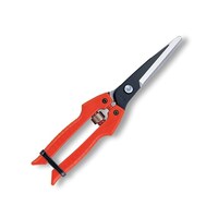 �r�d�|�U�T�@�����@�ʂ˂��p�@����