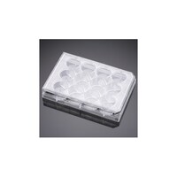 �R�T�R�Q�Q�T�P�Q�E�F���v���[�g