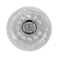 �����@��@�T�l�g���@�P�g�i�P�Q�����j�@