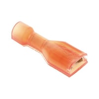 �t�@�X�g���[�q�@���X�@�t���������|�e����