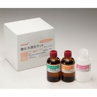 ��ʁE����L�b�g