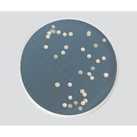 �~���t���b�N�X�v���X�l�w�r�l�b�r�c�S�W