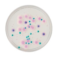 �Q�T�Q�X�T�W�@�J���W�_�h�h���V�|�n�@�Q�O��