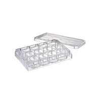 �|�{�v���[�g�P�Q�E�F���@�ڒ��זE�p�@�ŋہ@�P�X�V�|�P�Q�b�o�r�@�P�Z�b�g