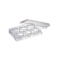 �U�E�F������v���[�g�@�t�^�t�@�ŋ�