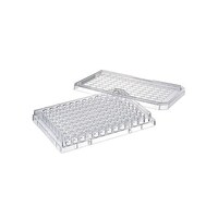 �X�U�E�F������v���[�g�R�W�O���k�t�^�t