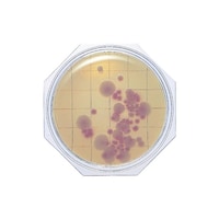 �N���[���X�^���v�Q�T�@�b�o���T�u���[���V�i�^�ۗp�j�@�R�O���@�O�U�V�X�T�@�P��