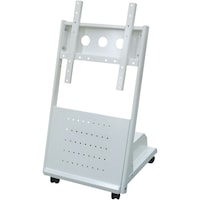 �Q�������T�C�l�[�W�X�^���h�@�z���C�g