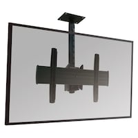 �f�B�X�v���C�}�E���g�E�V�݃^�C�v�@��^�p