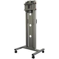 �V�^�k�b�c�X�^���h�i�V���o�[�j